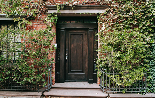 A natural wooden front door surrounded by plants