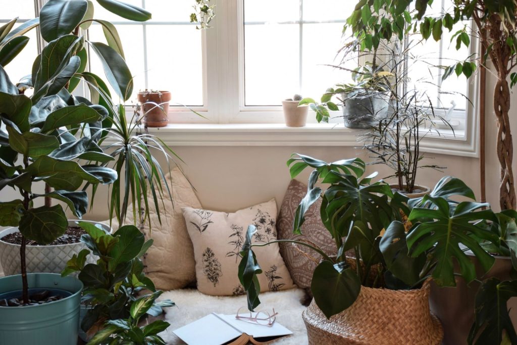 A bay window seating area surrounded by several potted plants 
