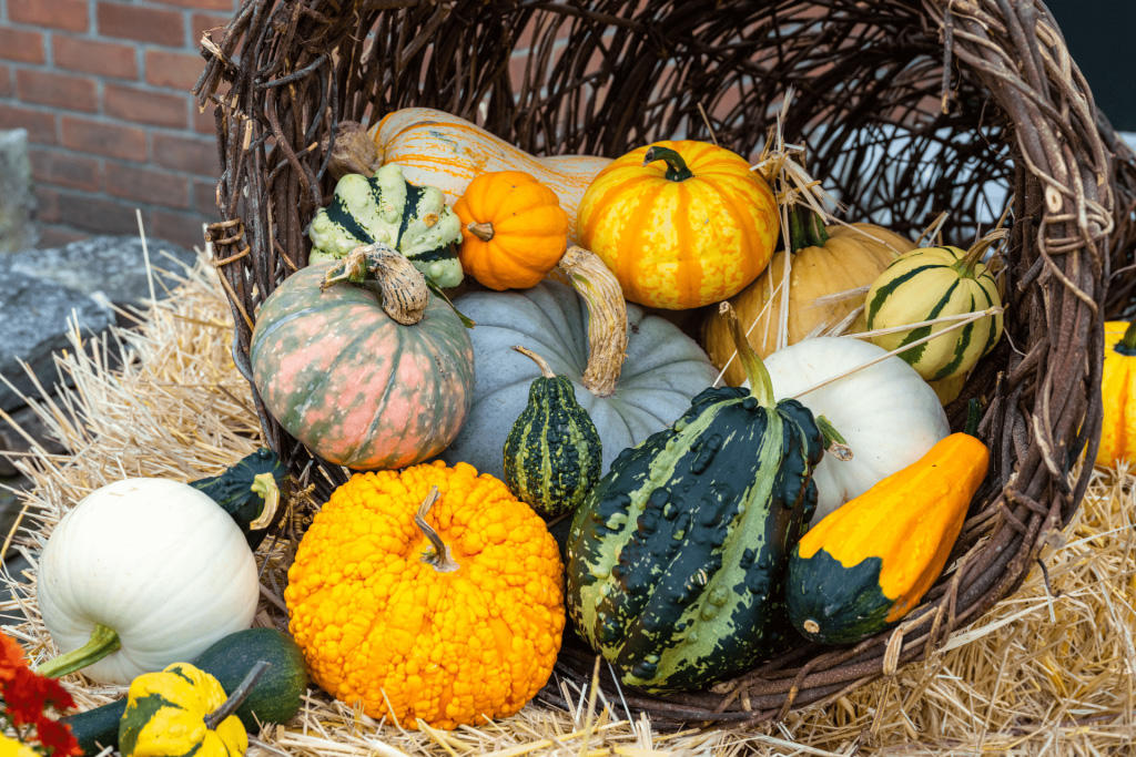 Close-up of a cornucopia filled with pumpkins and gourds