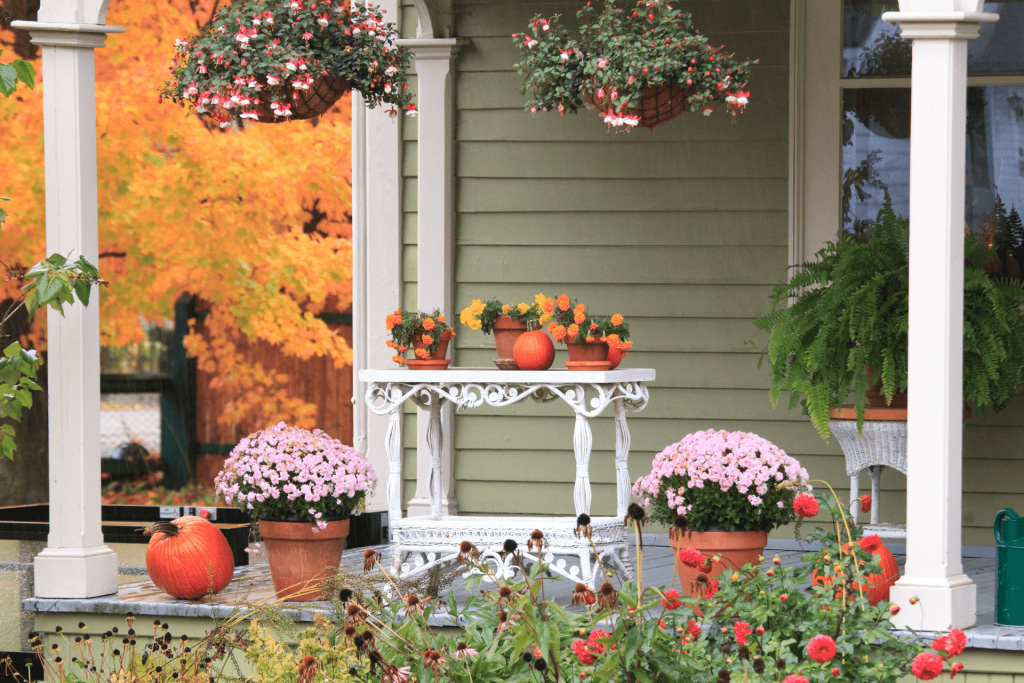 A variety of flowers on front porch with 3 pumpkins