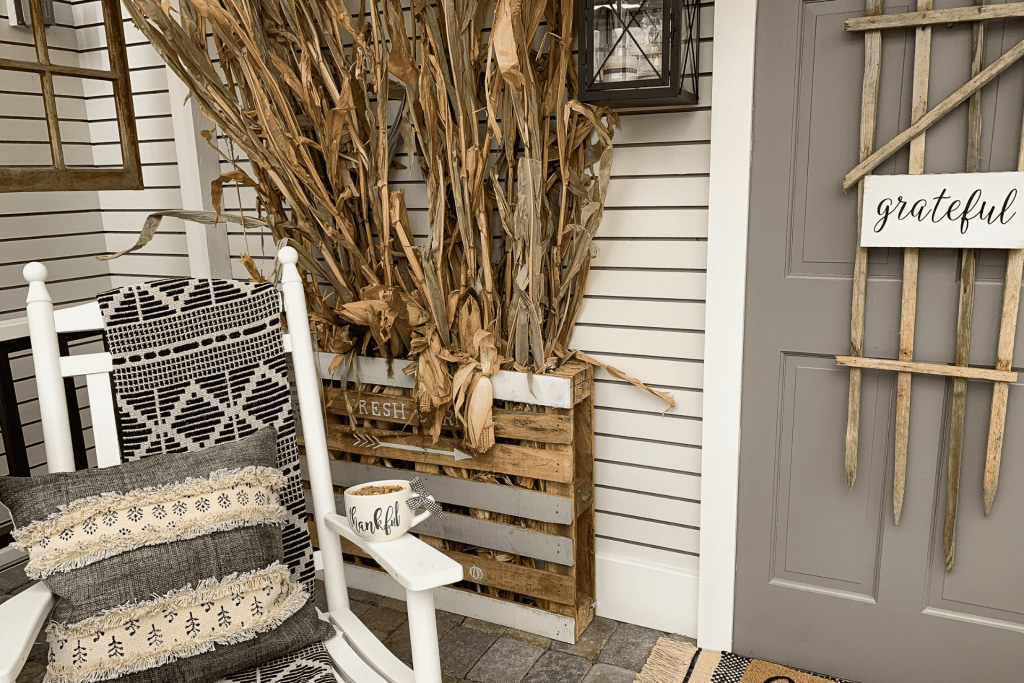 Corn stalks beside grey door