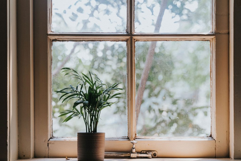 Old white window and window crank behind a plant