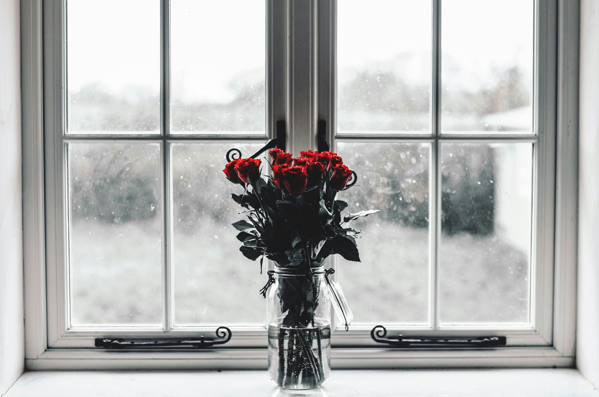 A jar of roses in front of a window during winter