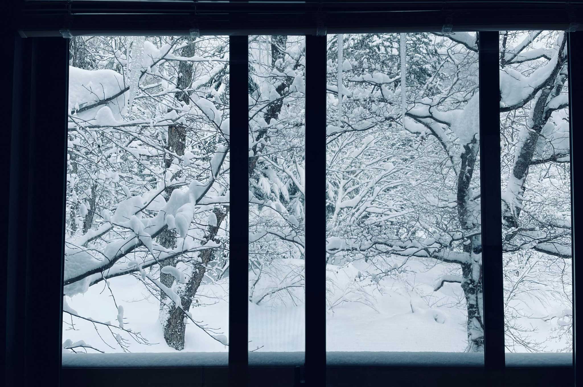 The view through a window of a snowy forest
